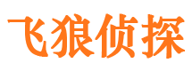 新城市私家侦探